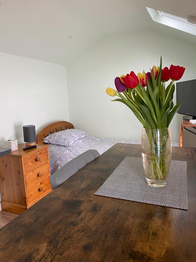 Cosy 1 Bed Garden Annexe Apartment Colchester Bagian luar foto